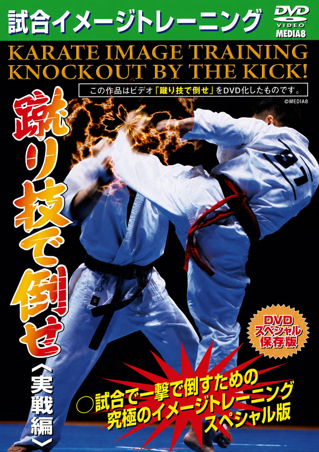 Kyokushin Karate Competition Image Training Knockout with Kick! DVD