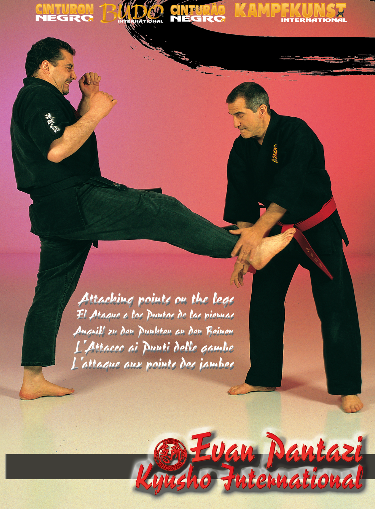 Kyusho Jitsu: Atacar puntos en las piernas DVD con Evan Pantazi