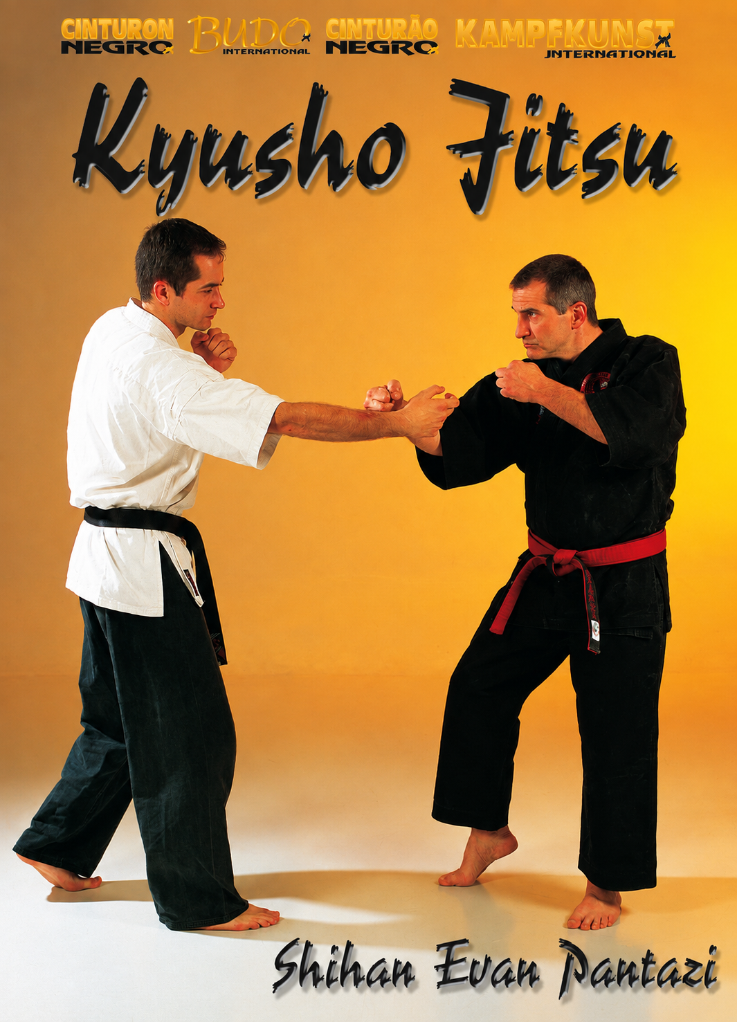 Kyusho Jitsu Points on the Arms DVD with Evan Pantazi