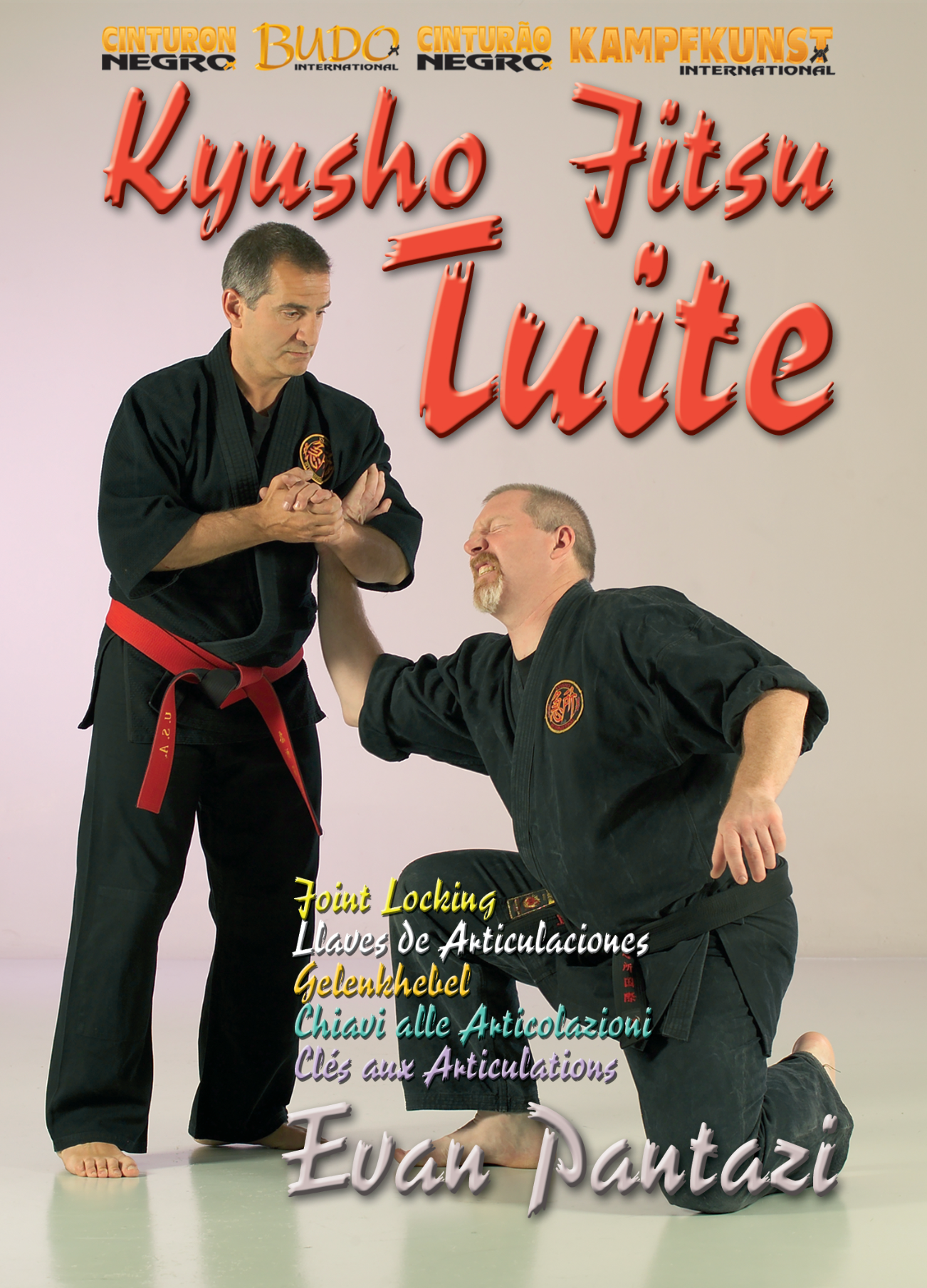 Kyusho Jitsu Tuite DVD by Evan Pantazi