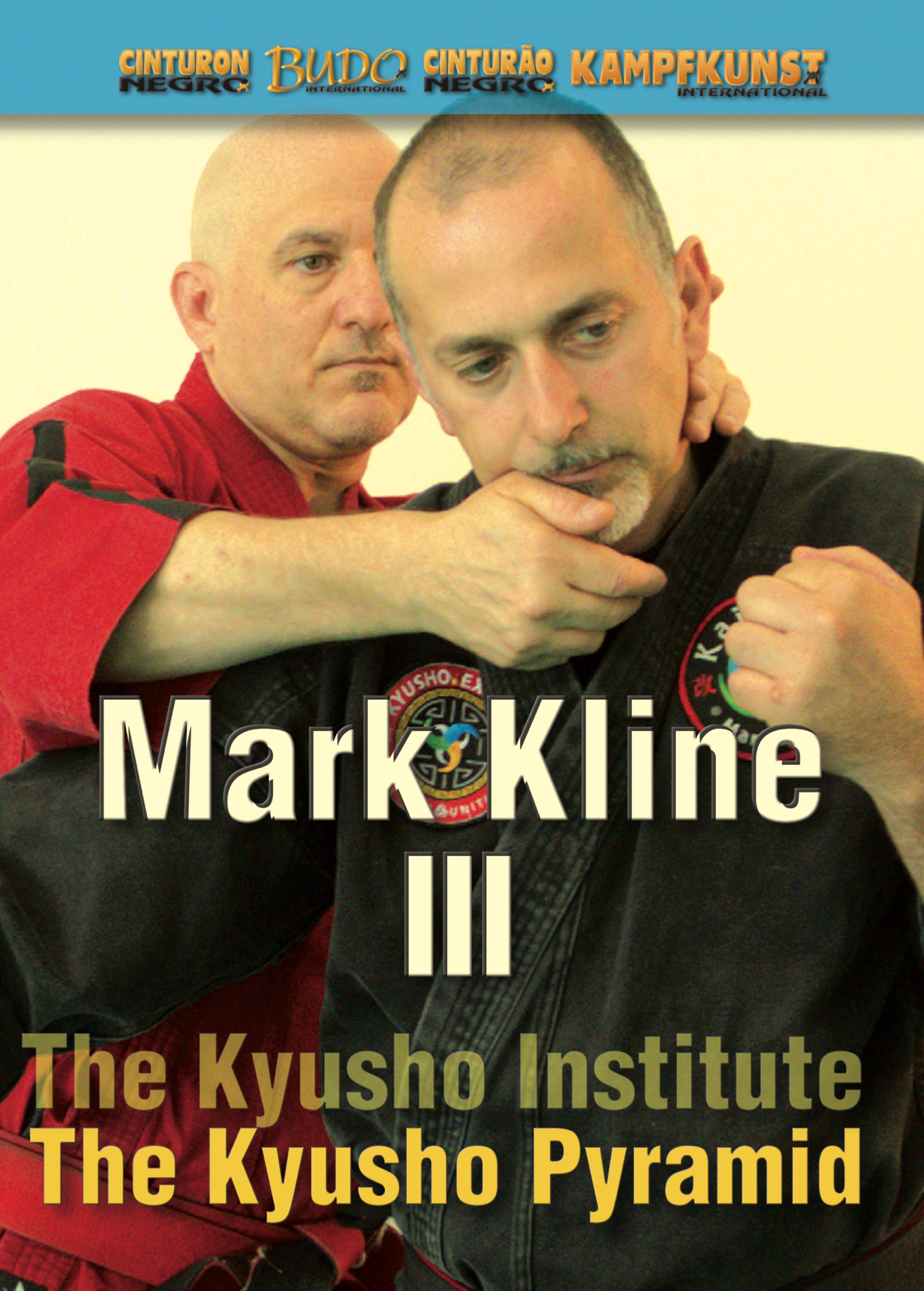 Kyusho Pyramid DVD 3 with Mark Kline