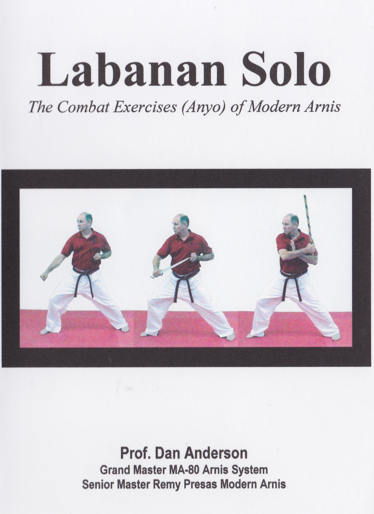 Labanan Solo Combat Exercises of Modern Arnis DVD by Dan Anderson (Preowned)