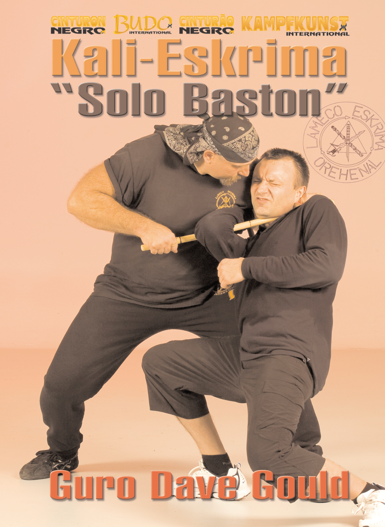 Lameco Eskrima Solo Baston Single Stick DVD with Dave Gould