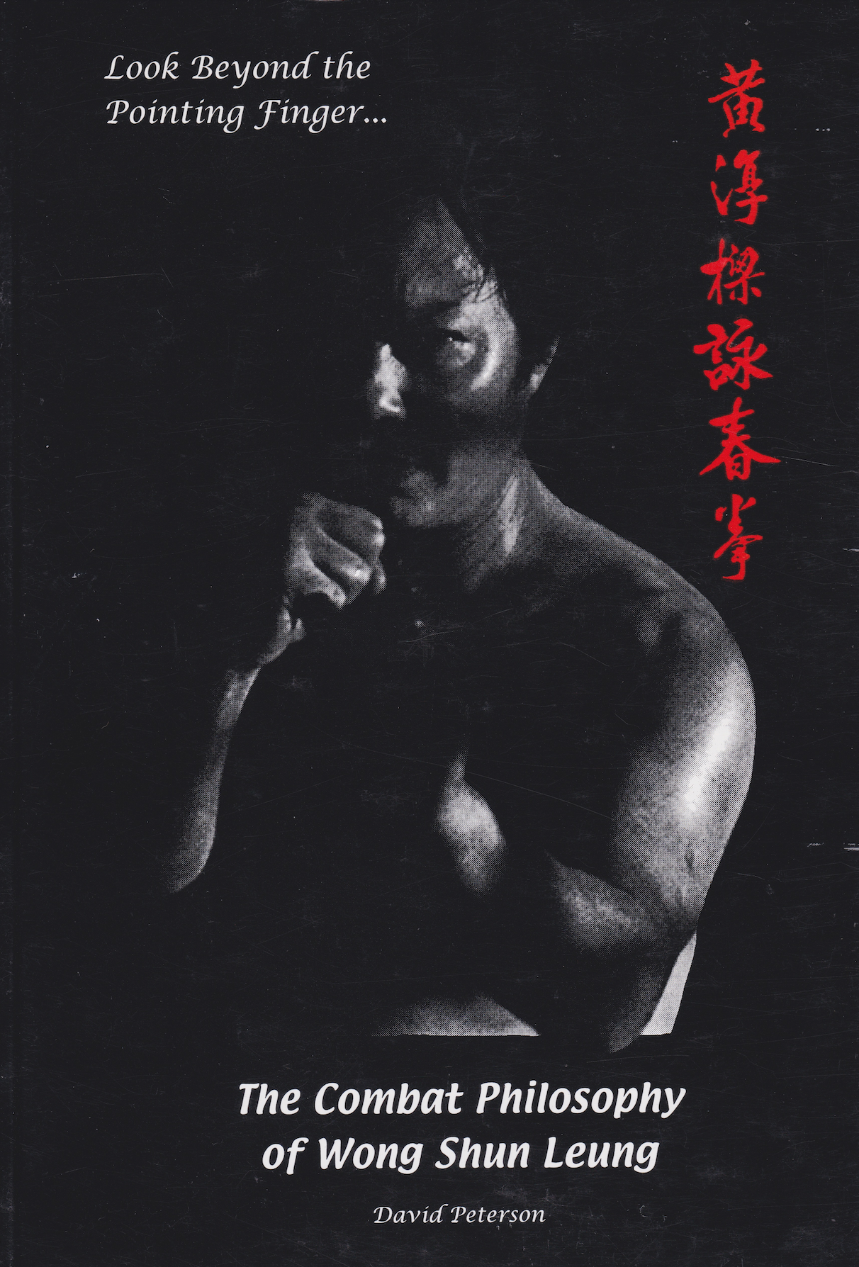 Look Beyond the Pointing Finger: The Combat Philosophy of Wong Shun Leung Book by David Peterson (1st Edition)