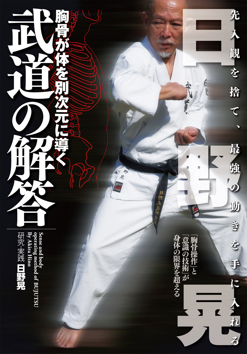 Martial Arts Answers DVD by Akira Hino