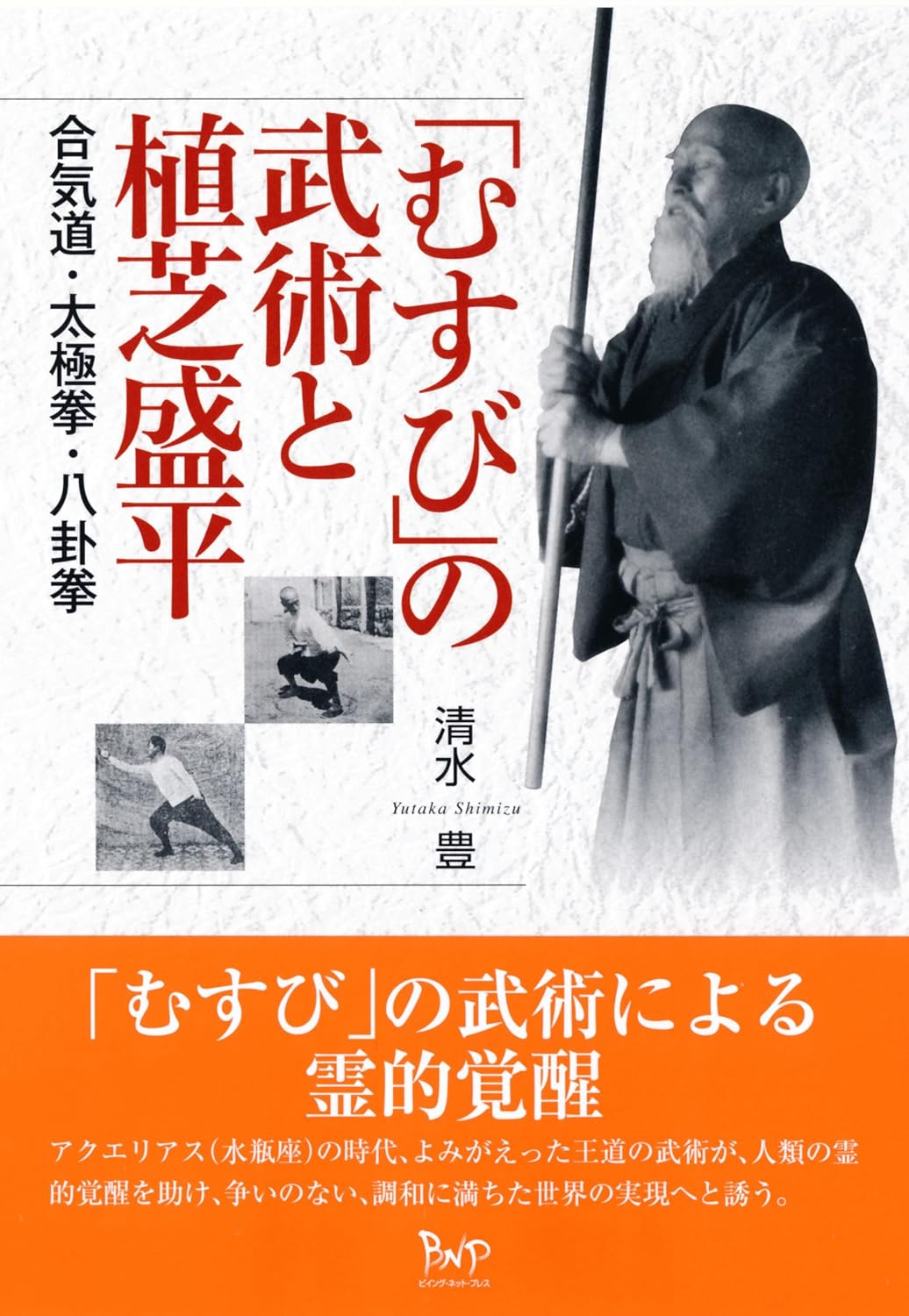 Martial Arts & Morihei Ueshiba: Aikido, Tai Chi & Bagua Book by Yutaka Shimizu