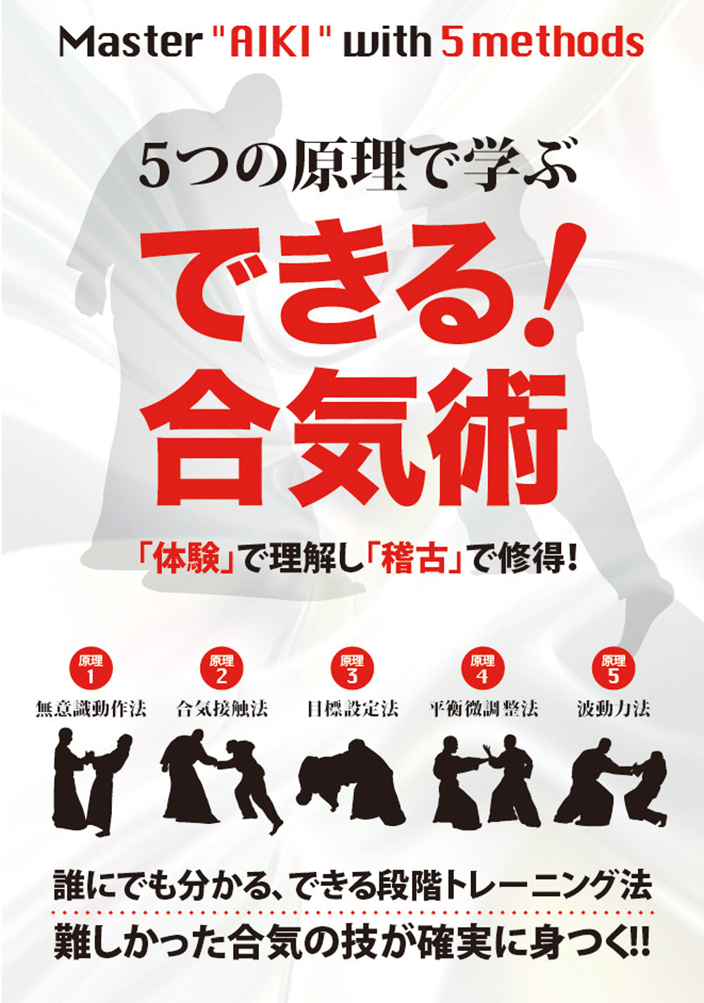 Maestro Aiki con 5 Métodos DVD con Makoto Kurabe