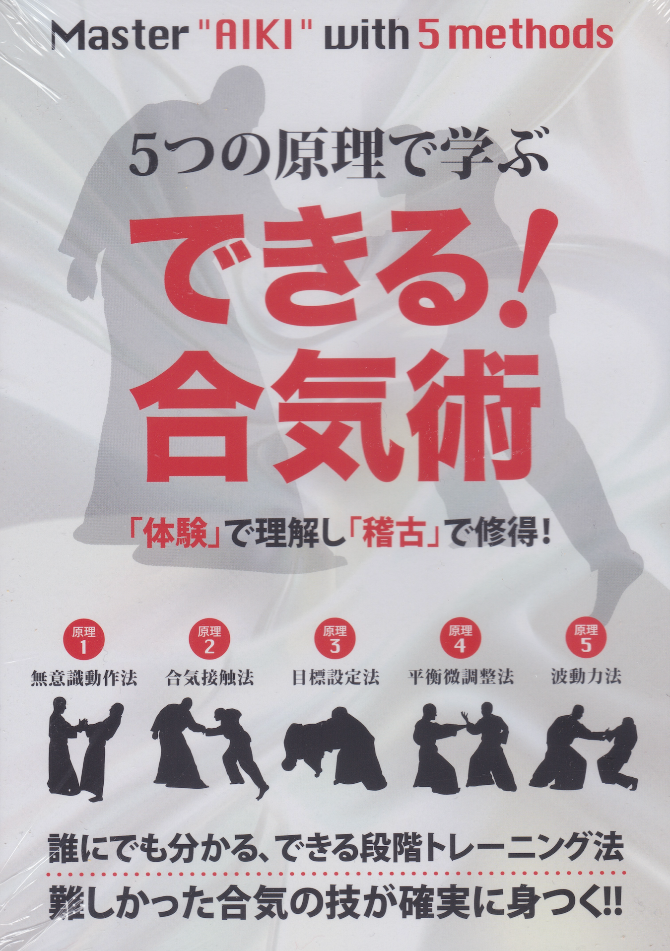 Master Aiki with 5 Methods DVD with Makoto Kurabe