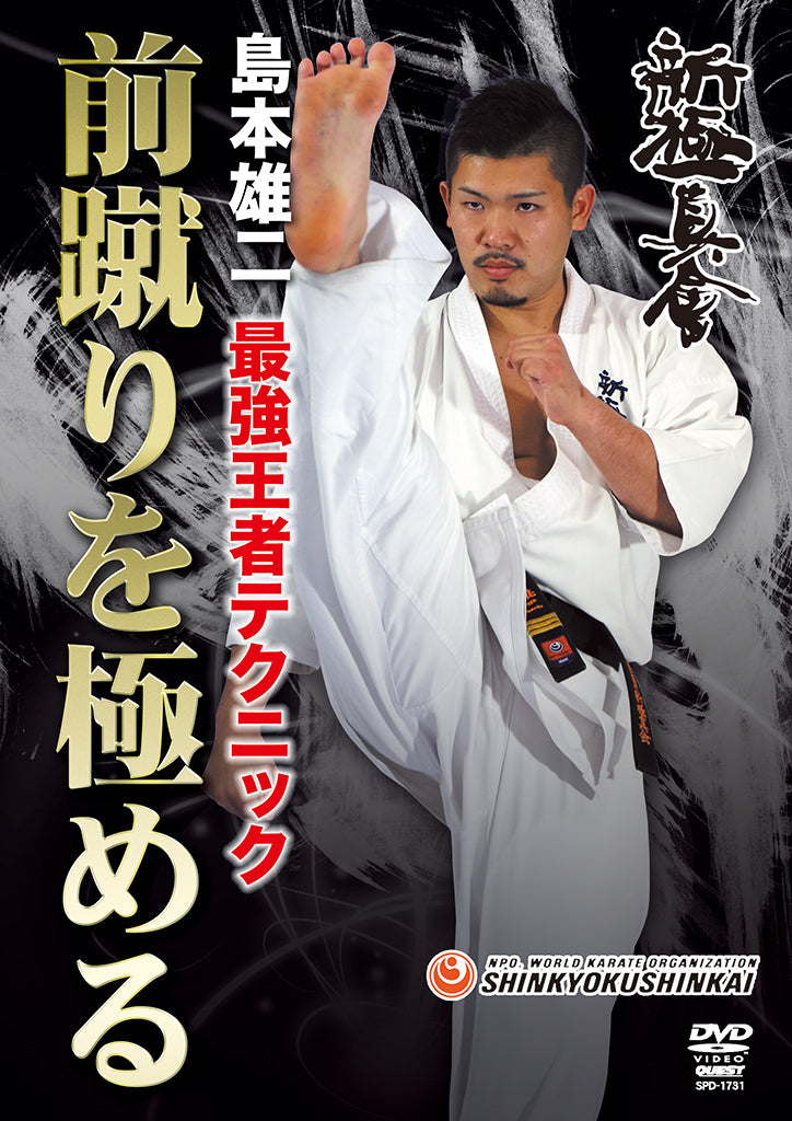 Mastering the Front Kick DVD by Yuji Shimamoto