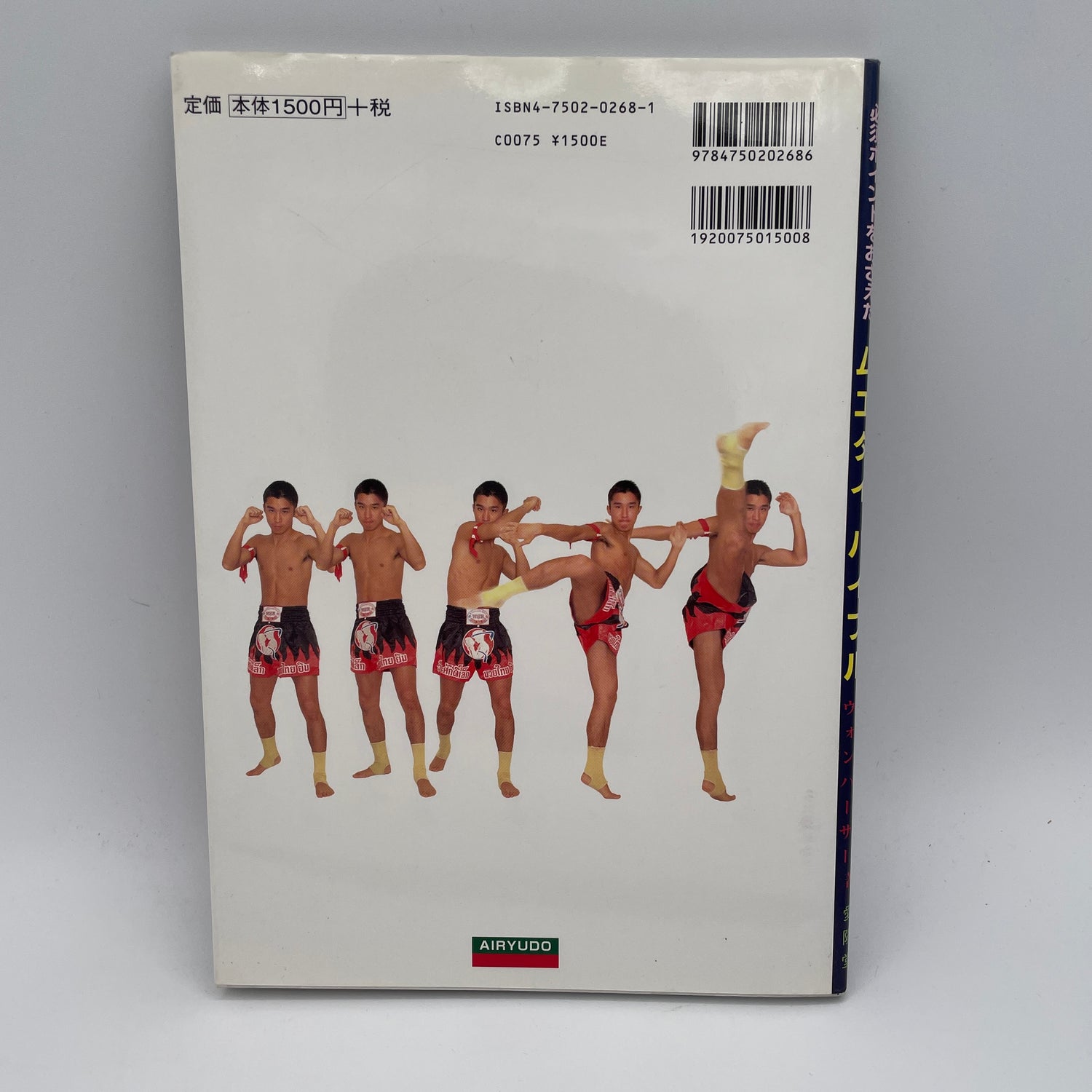 Biblia de Muay Thai con libro de puntos esenciales (seminuevo)