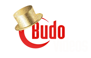 Budovideos Inc