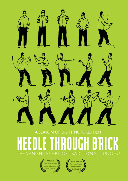 Needle Through Brick (Documentary) DVD by Joel Fendelman & Patrick Daly