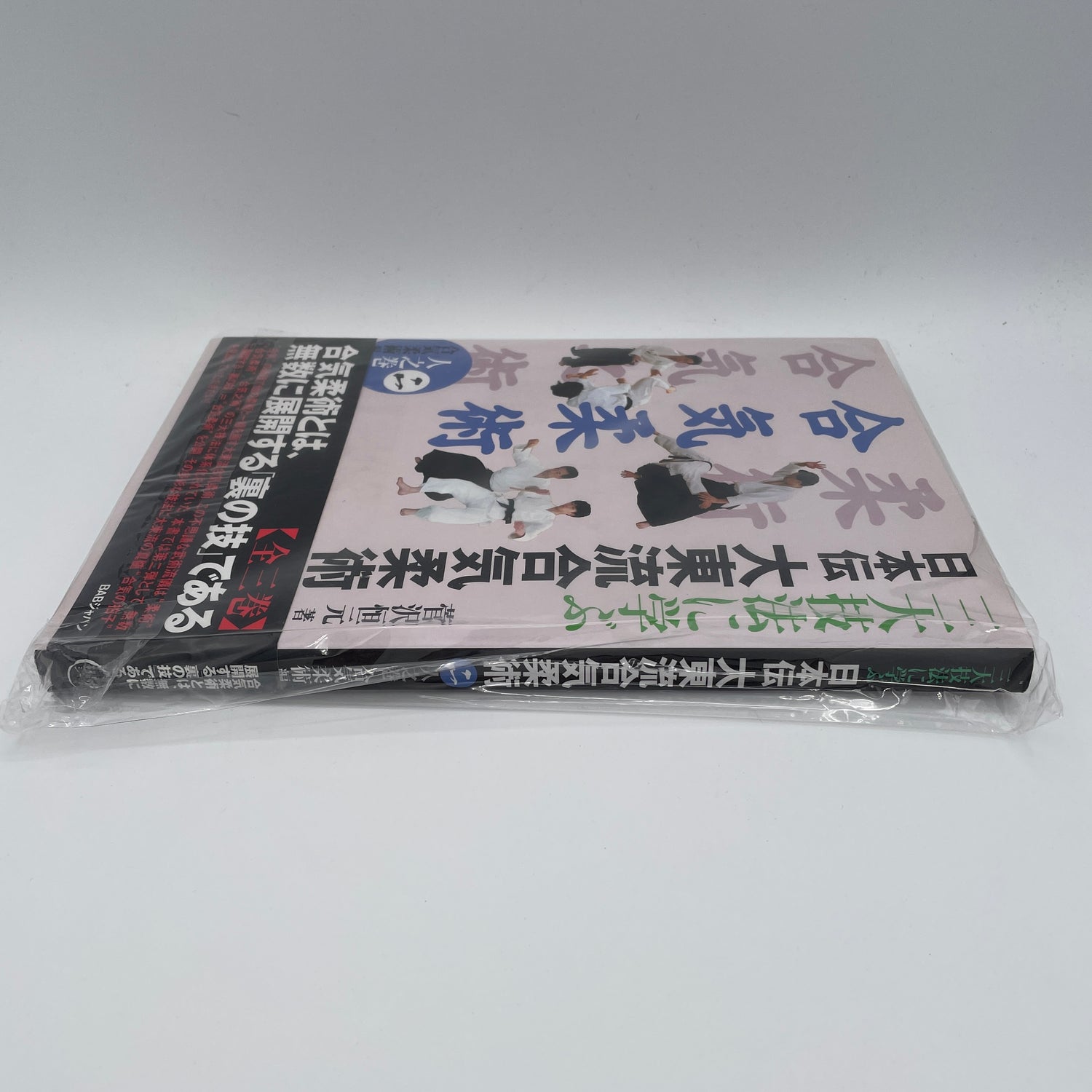日本伝大東流合気柔術 Book 2: 合気柔術 菅沢高玄著 (中古品) 