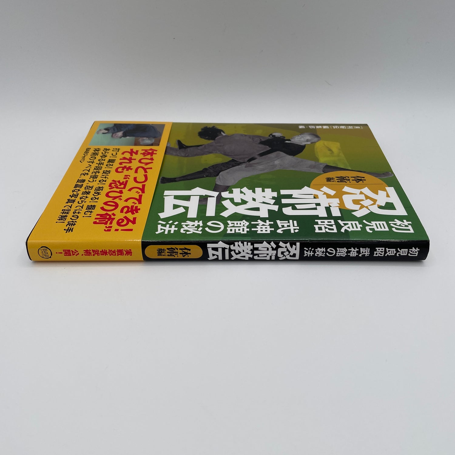 Ninjutsu Kyoden Book 2: Taijutsu by Masaaki Hatsumi