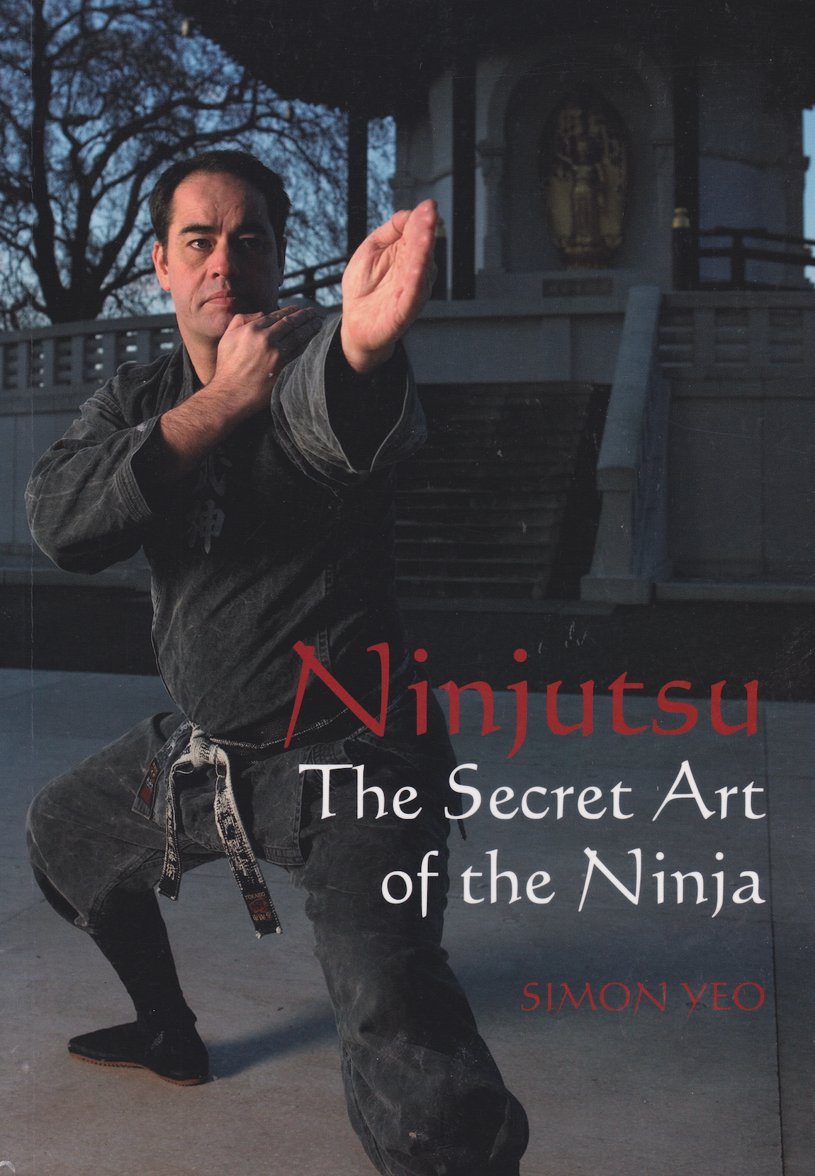 Ninjutsu: The Secret Art of the Ninja Book by Simon Yeo (Preowned)