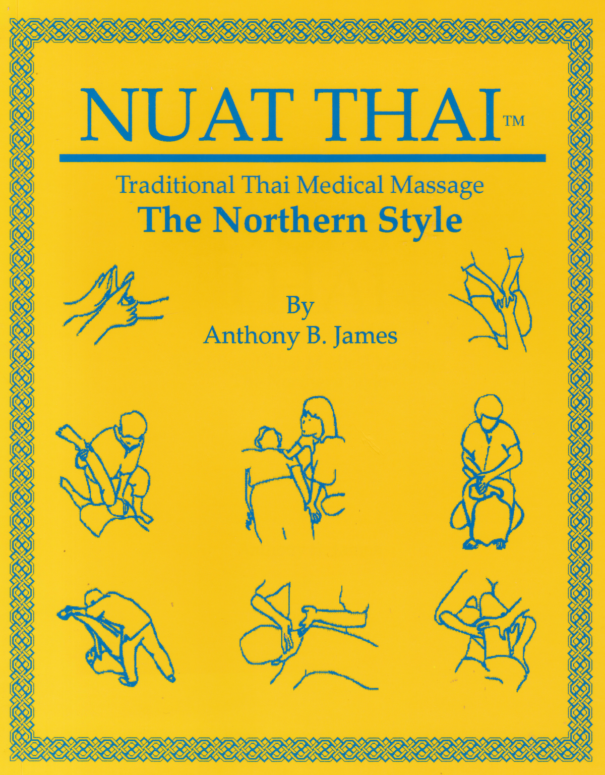 Nuat Thai Traditional Thai Medical Massage Book by Anthony James (Preowned)