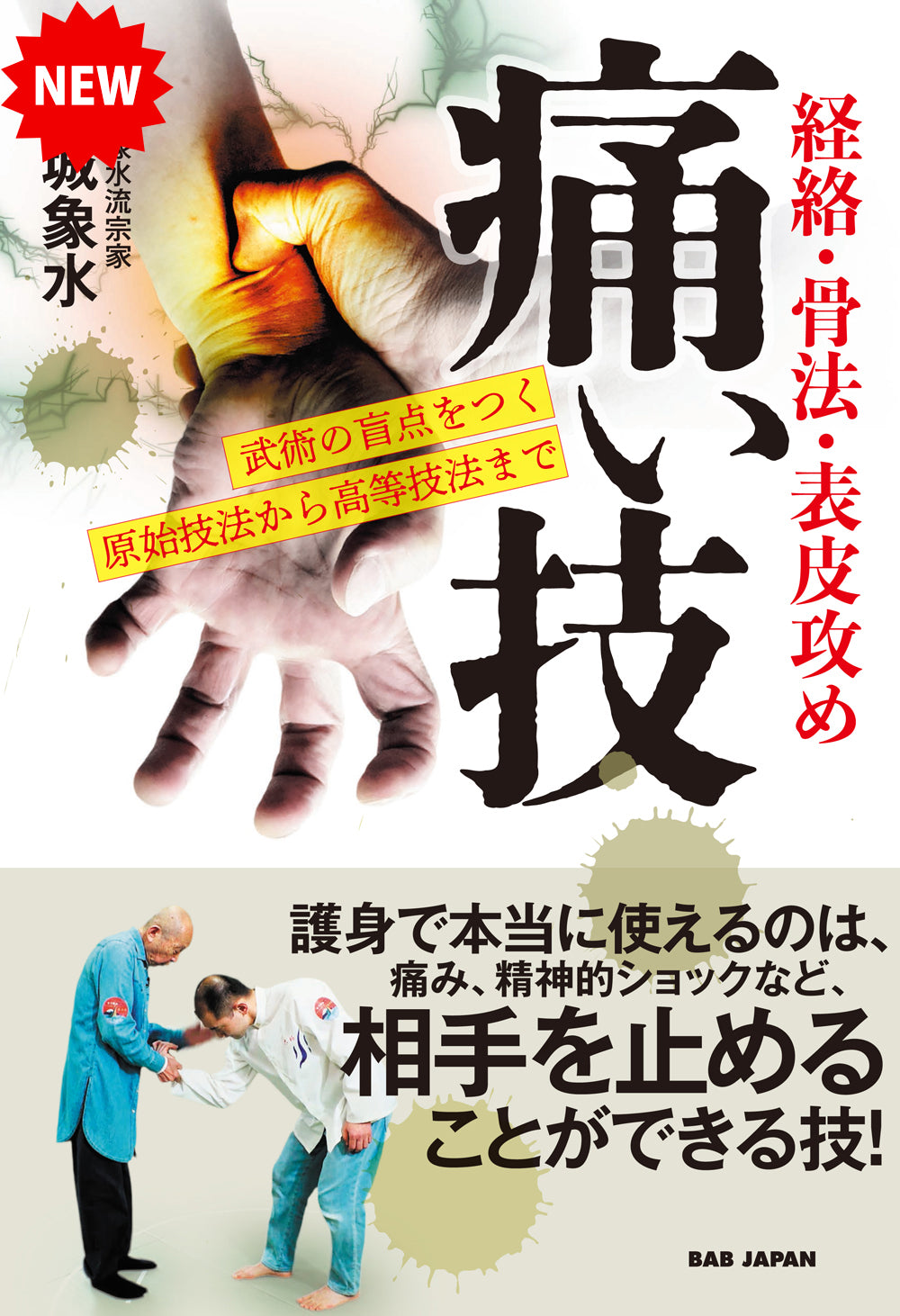 Painful Techniques Book by Shosui Iwaki