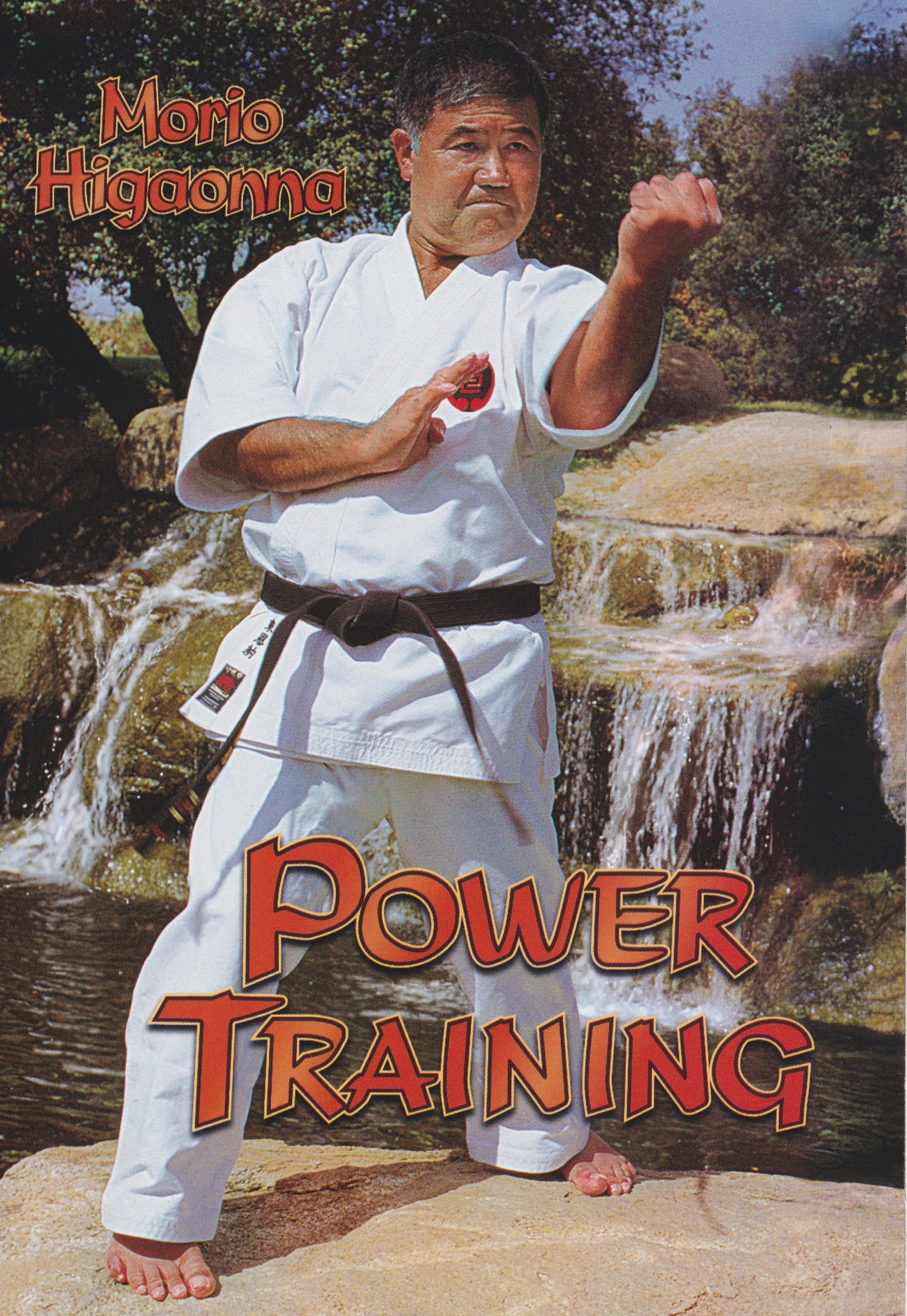 DVD de entrenamiento de potencia de Morio Higaonna