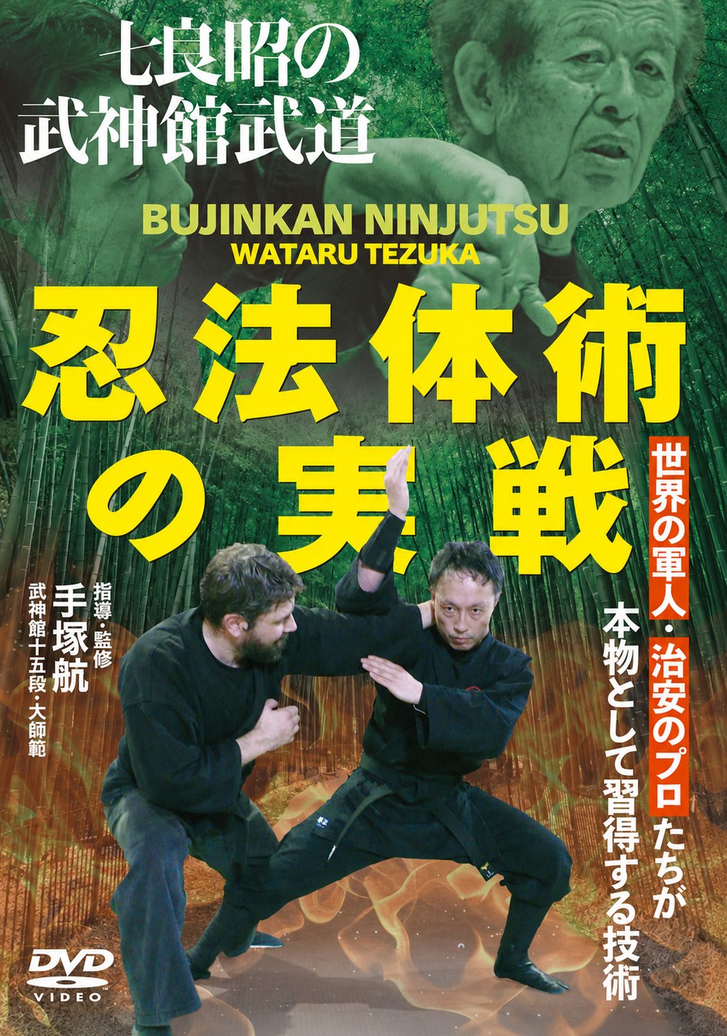Practical Application of Bujinkan Ninpo Taijutsu DVD by Wataru Tezuka