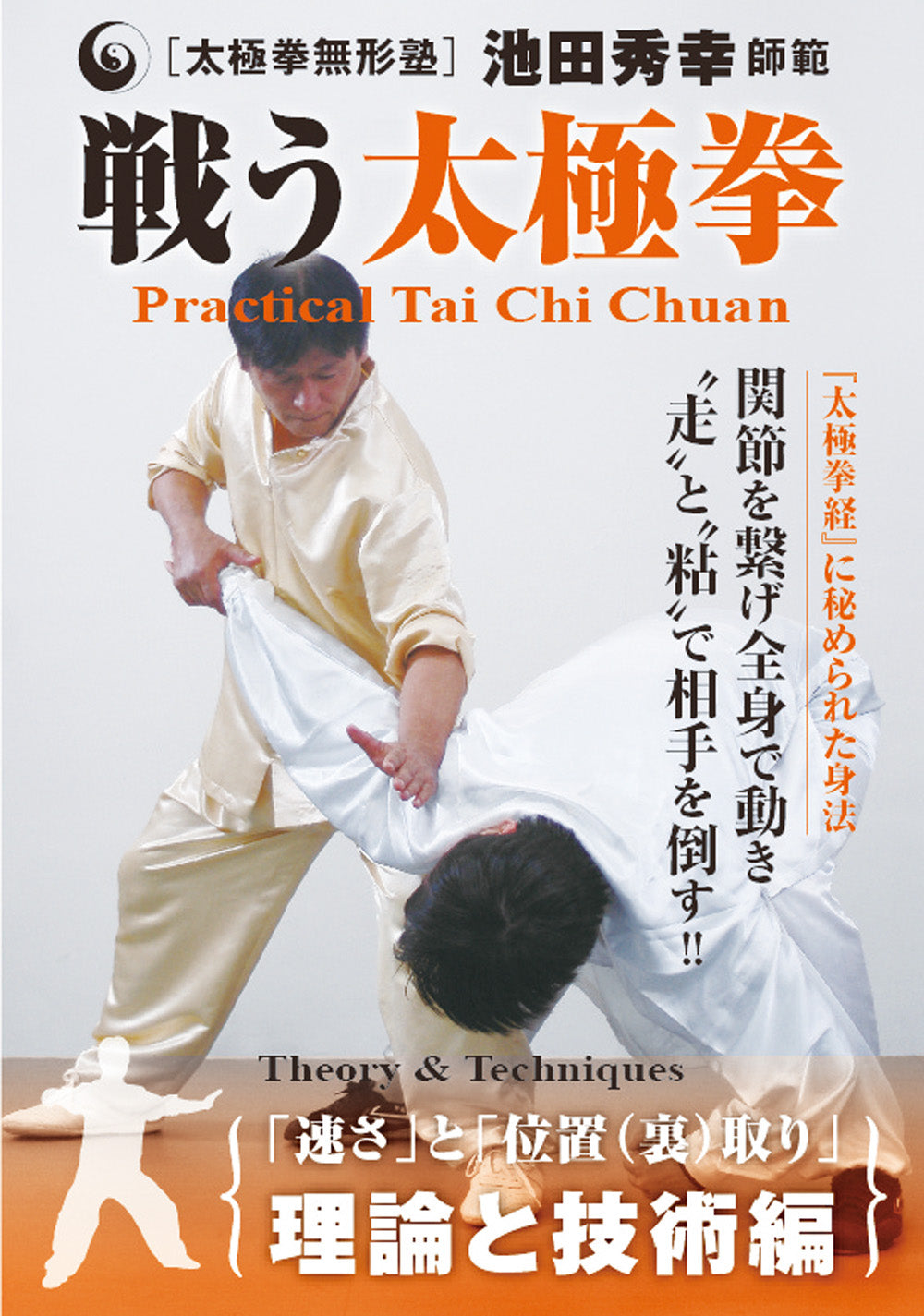 Practical Tai Chi Theory & Techniques DVD by Hideyuki Ikeda