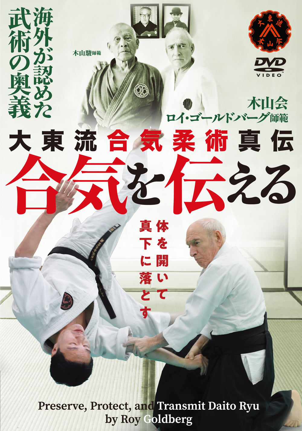 Preserve, Protect & Transmit Daito Ryu Aikijujutsu DVD by Roy Goldberg