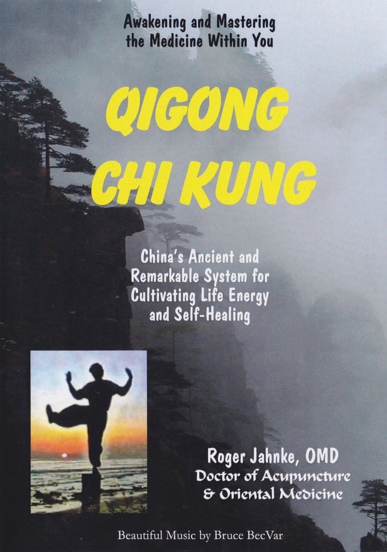 Qigong Chi Kung: Awakening and Mastering the Medicine Within You DVD by Roger Jahnke (Preowned)