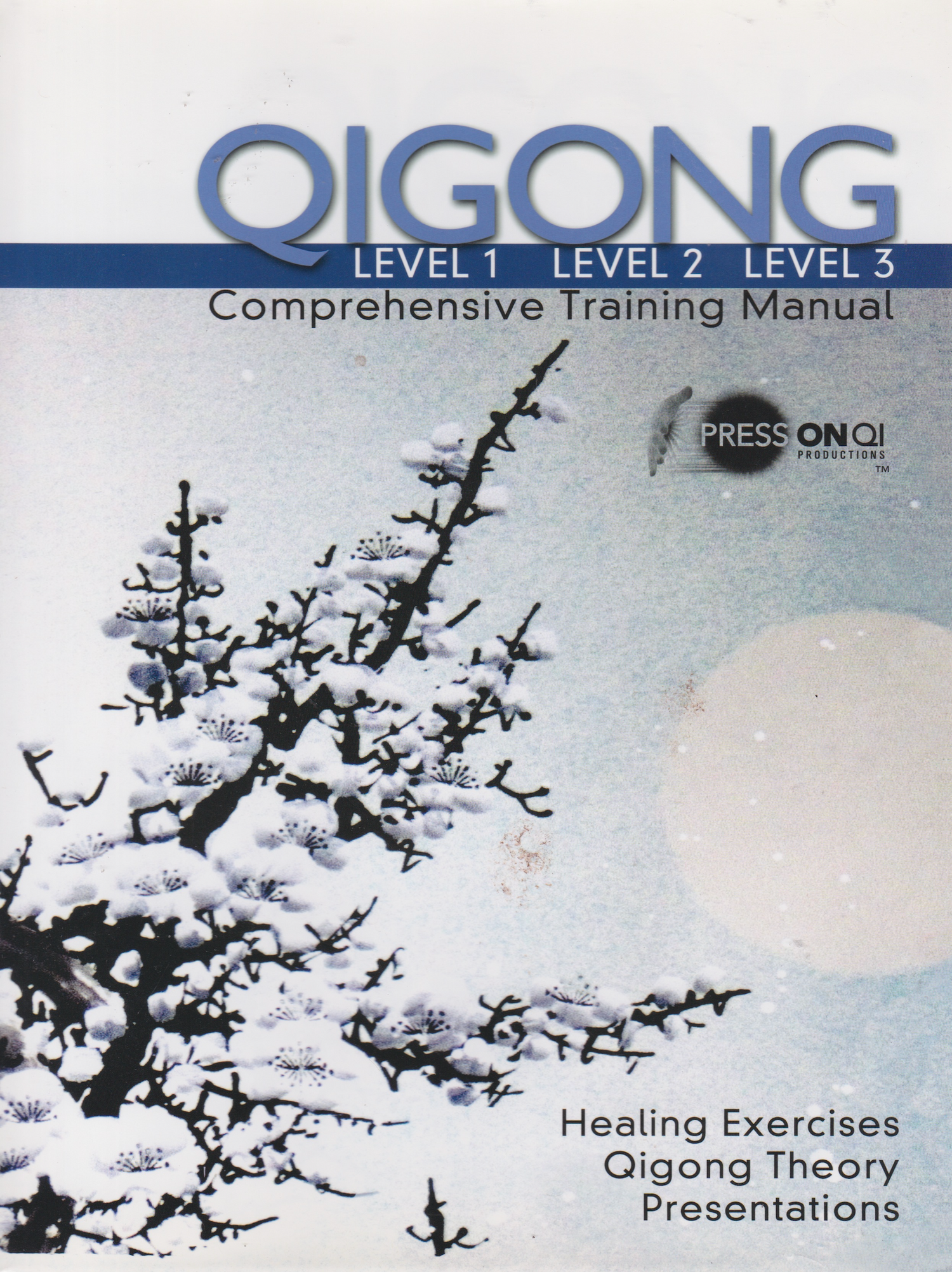 Qigong Comprehensive Training Manual Level 1-3 Book by Jeff Primack (Hardcover) (Preowned)