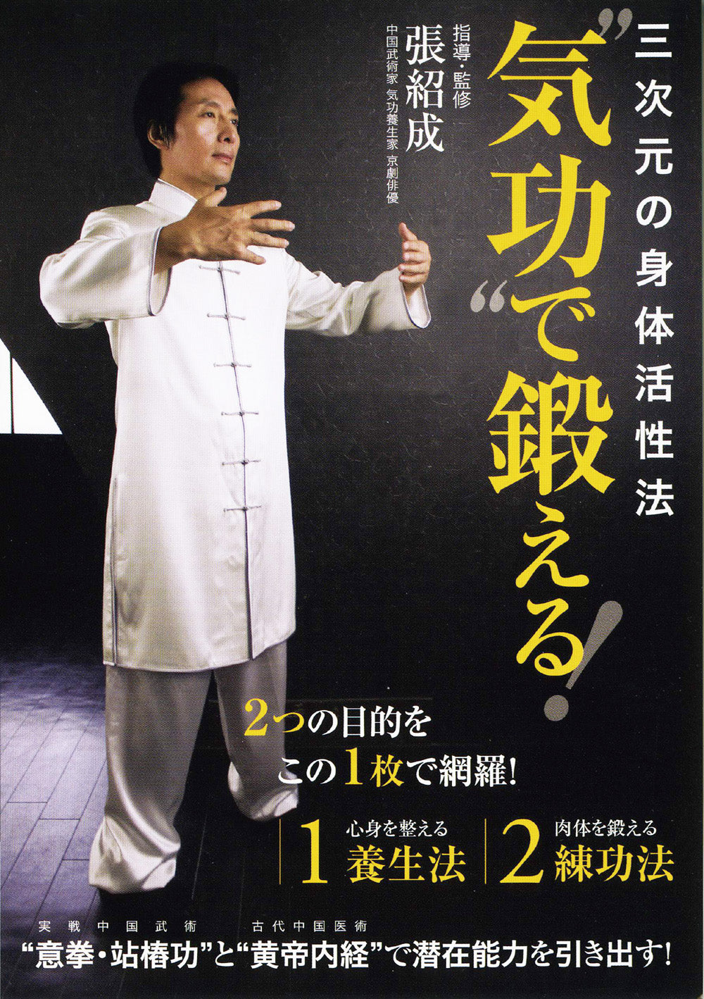 Qigong Training DVD by Zhang Shaocheng