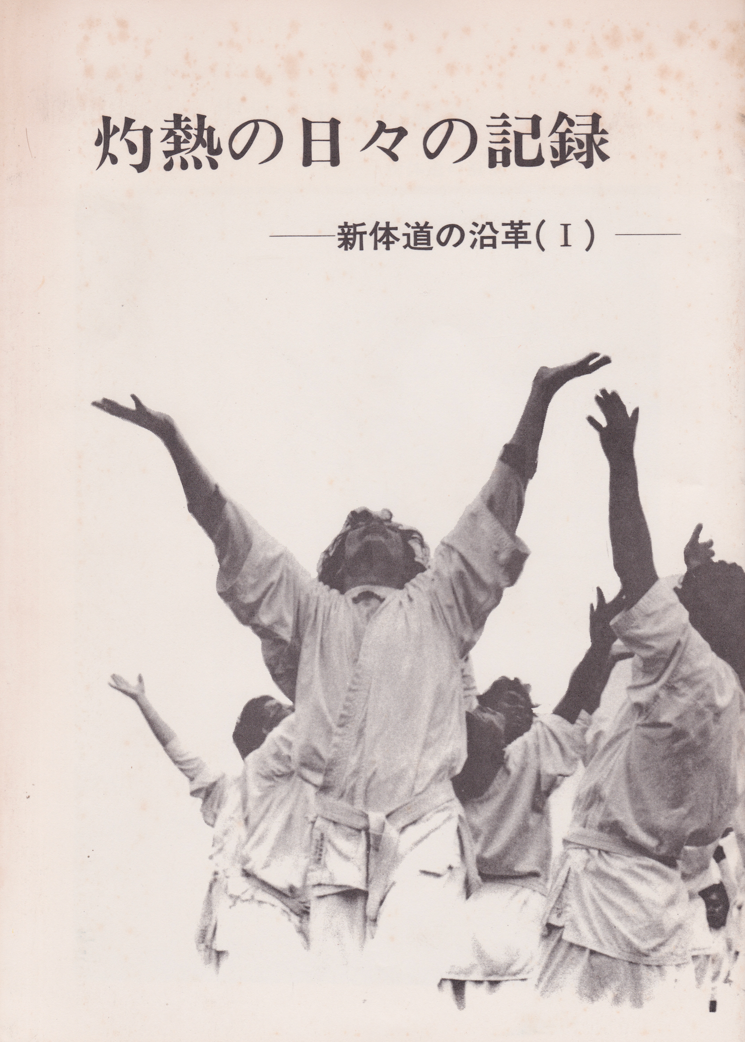 Record of Scorching Days: The History of Shintaido Book by Hiroyuki Aoki (Preowned)