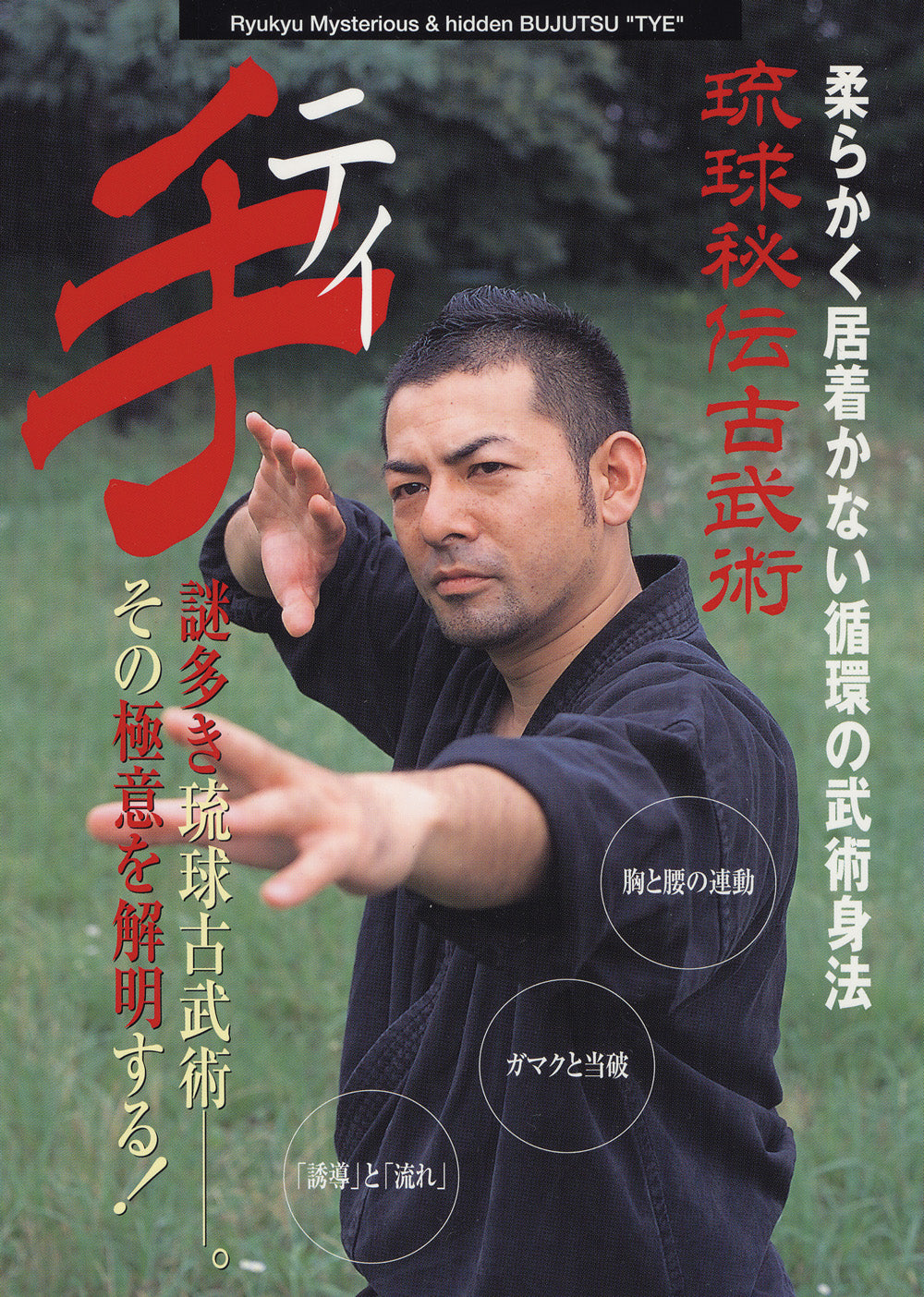 Ryukyu Mysterious Bujutsu: Te DVD de Keishiro Shiroma