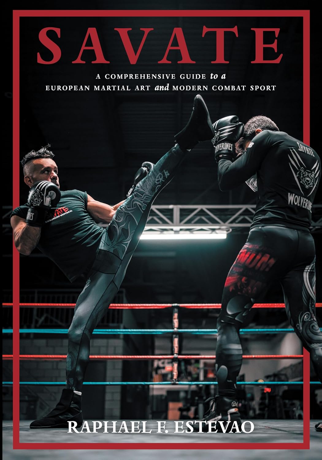 Savate: A Comprehensive Guide to a European Martial Art and Modern Com ...
