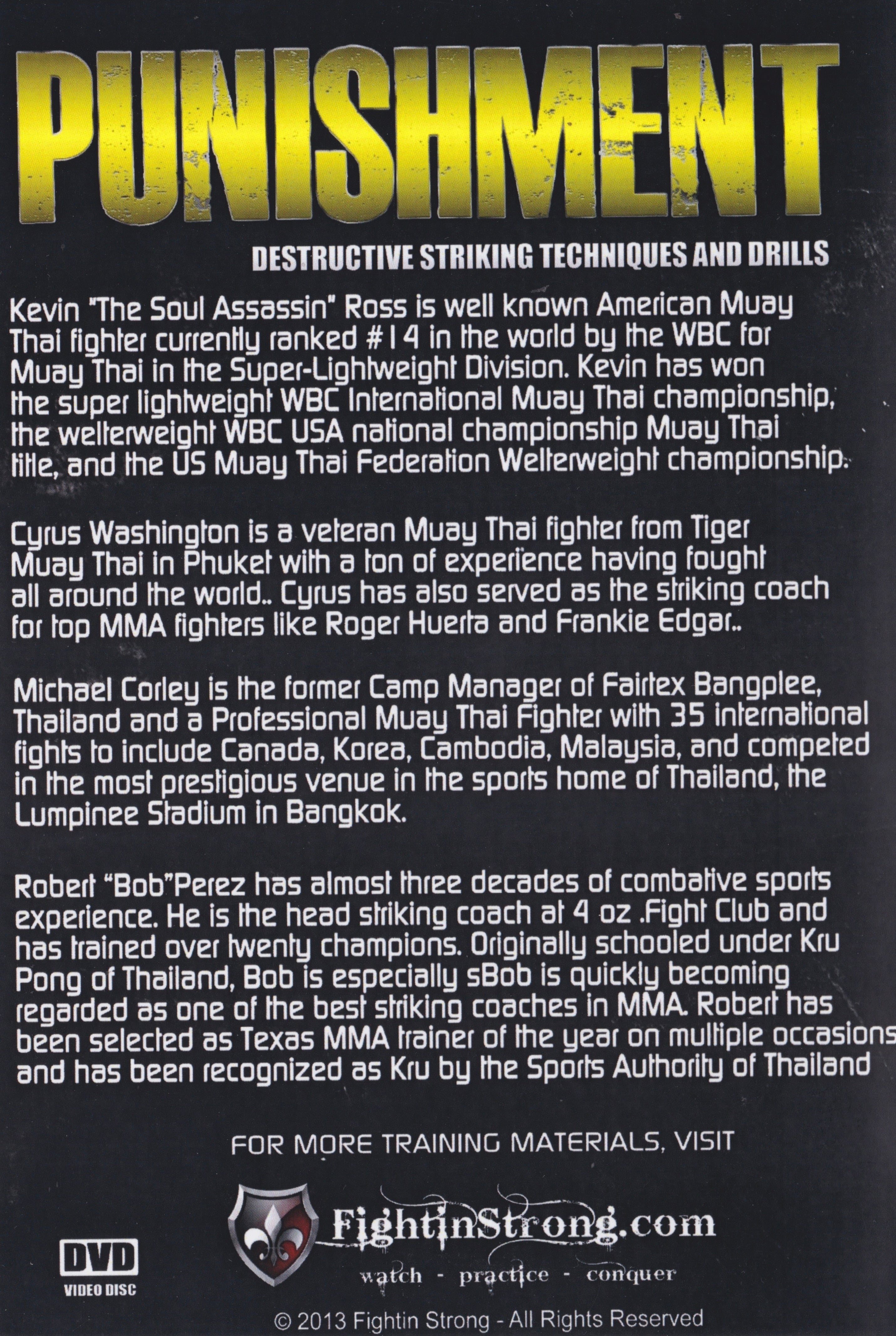 Punishment: Destructive Striking Techniques & Drills 3 DVD Set