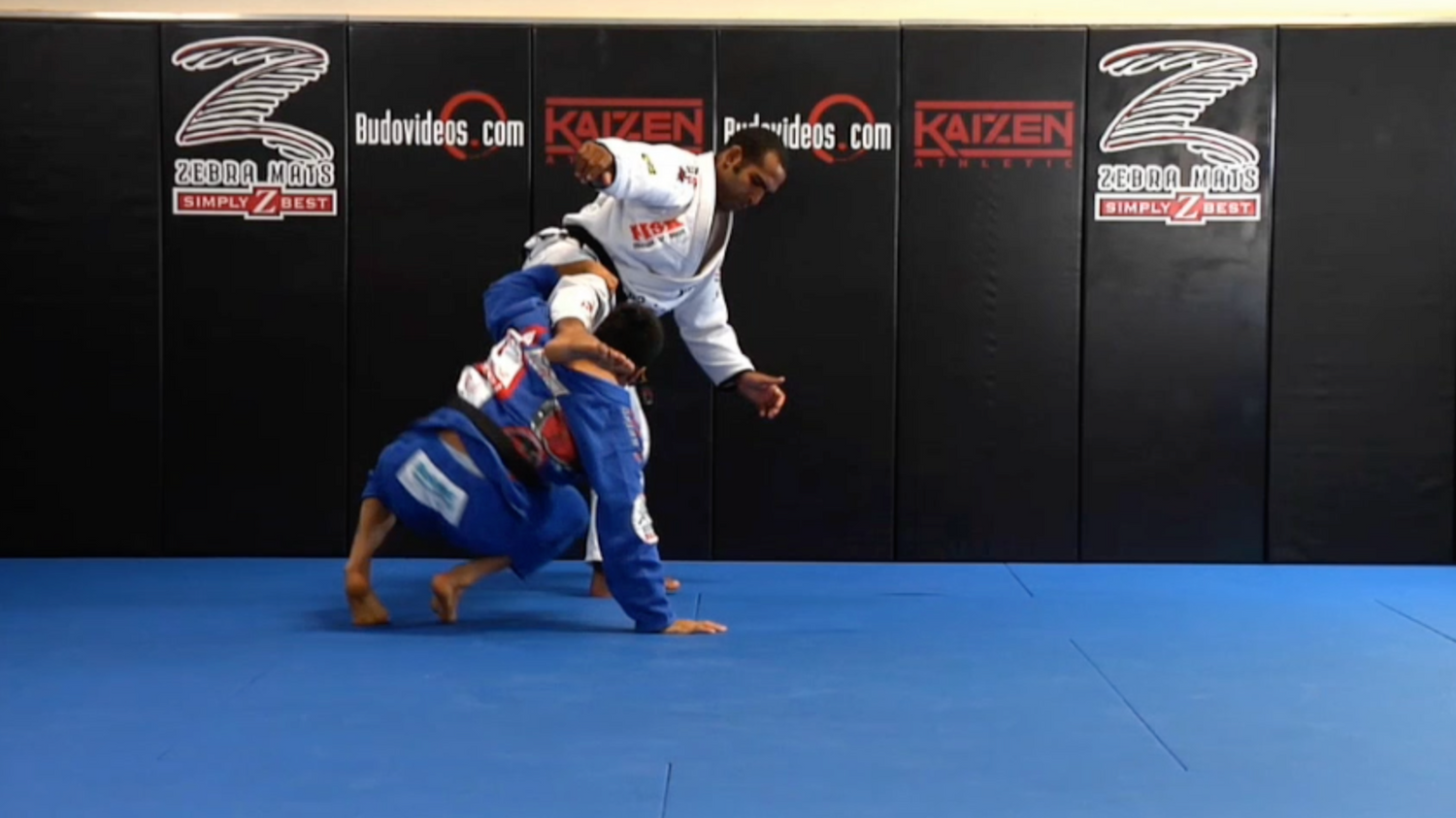 Cobrinha BJJ Series by Rubens Charles (On demand)