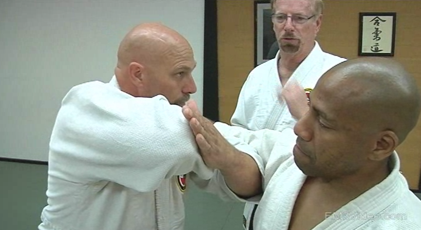 Shuyokan Aikijutsu DVD by David Dye