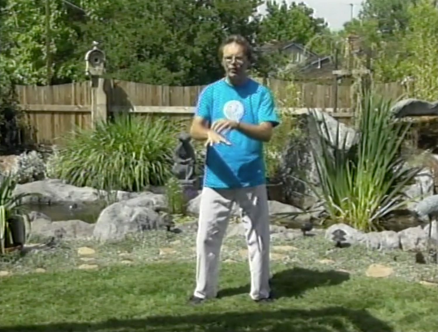 Tai Chi for Seniors DVD by Mark Johnson (Preowned)