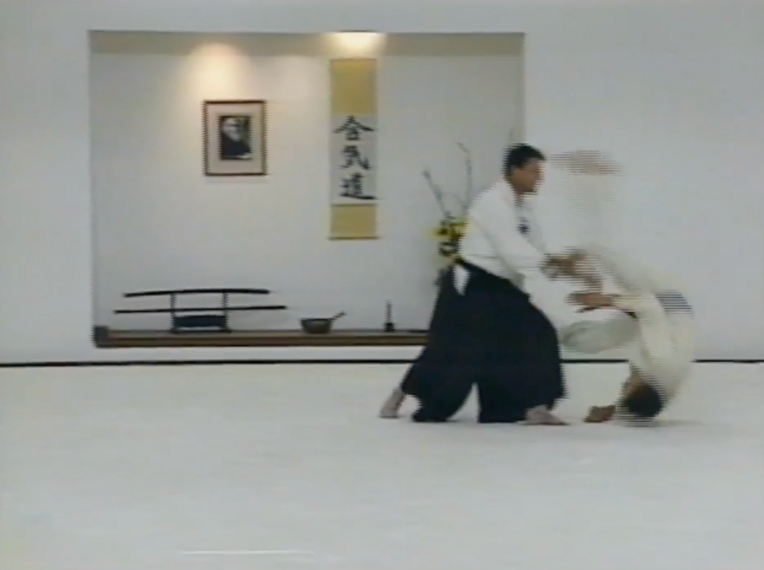 Aikido Today Magazine によるコンプリート Aikido Expo Collection DVD 4 セット