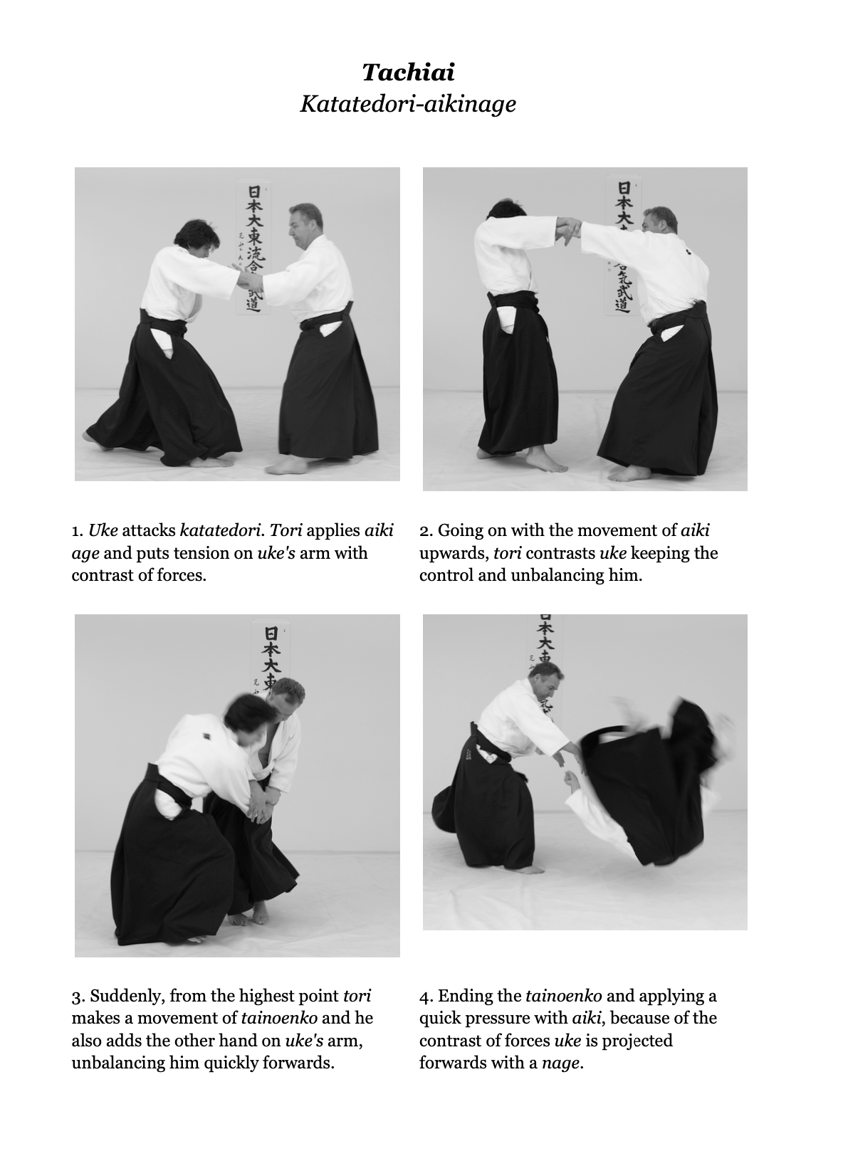 Daito Ryu Aikibudo: History & Technique Book by Antonino Certa (Revised Edition)(E-Book)