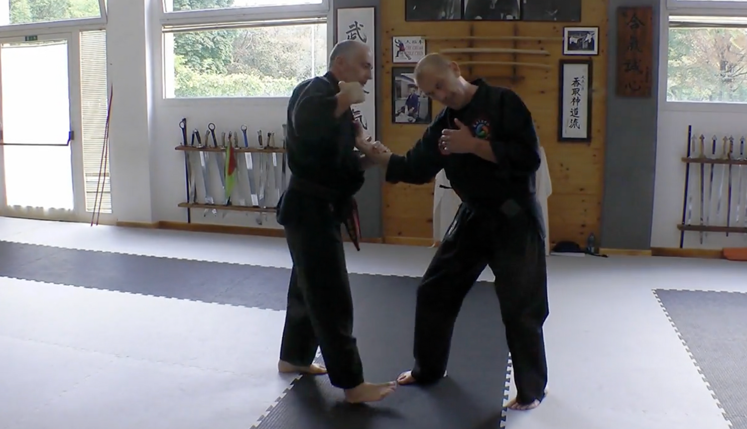 Become a Kyusho Instructor Vol 1 Gianluca Frisan (On Demand)