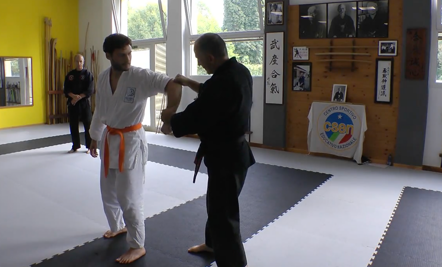 Become a Kyusho Instructor Vol 1 Gianluca Frisan (On Demand)