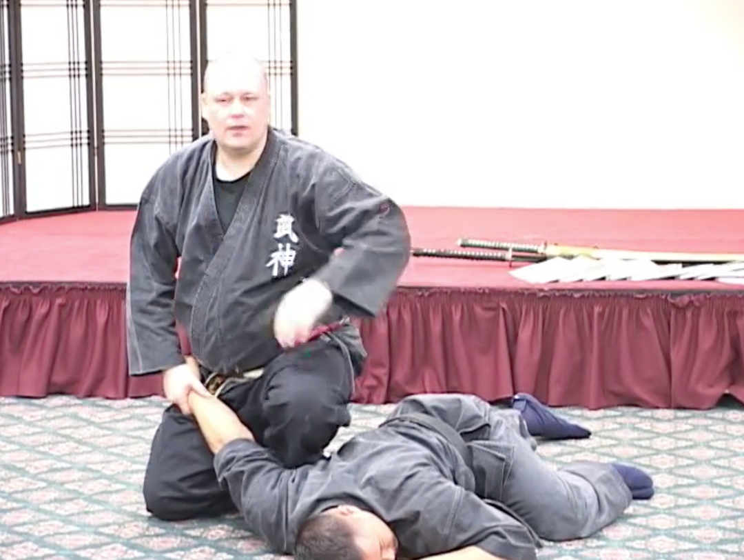 Comparing the Bujinkan Schools by Richard Van Donk (On Demand ...