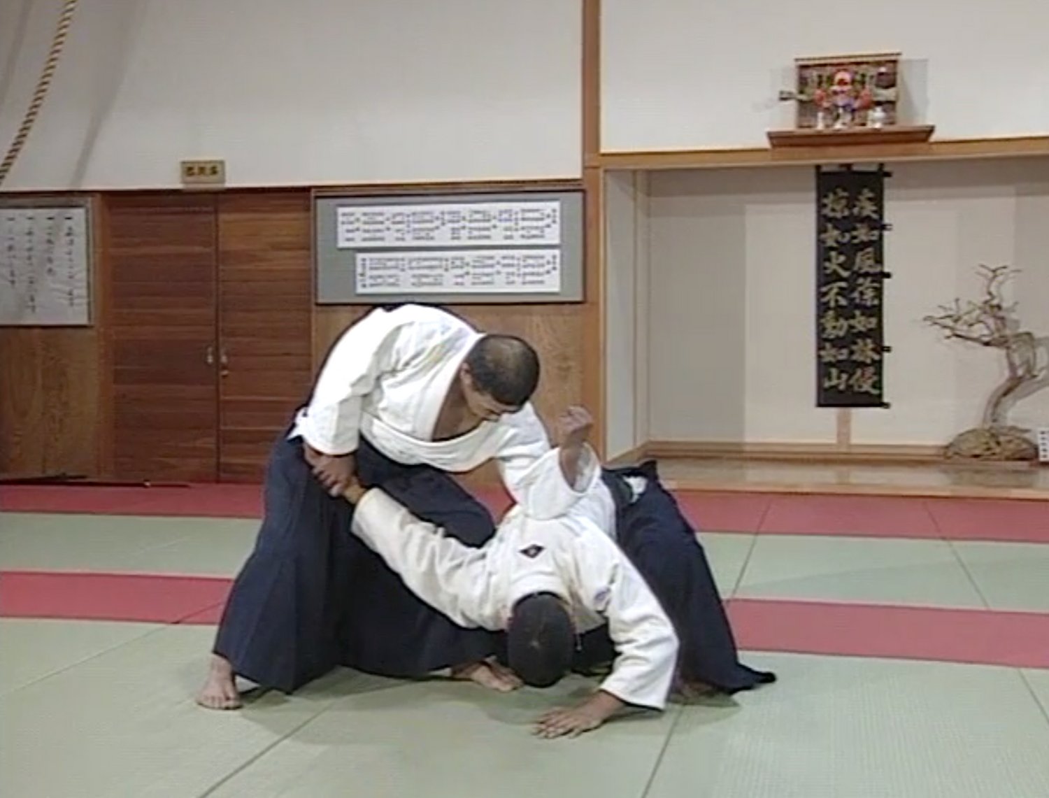 Daito Ryu Aikijujutsu: Nikajo Ura Techniques DVD 1