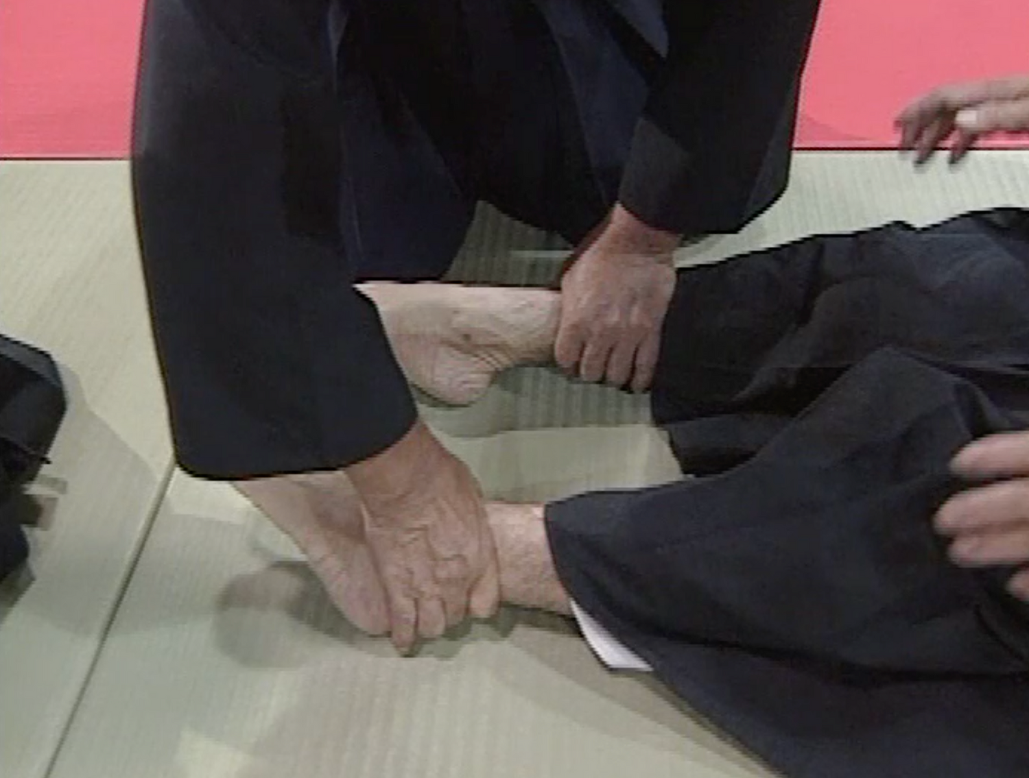 Daito Ryu Aikijujutsu: Nikajo Ura Techniques DVD 1
