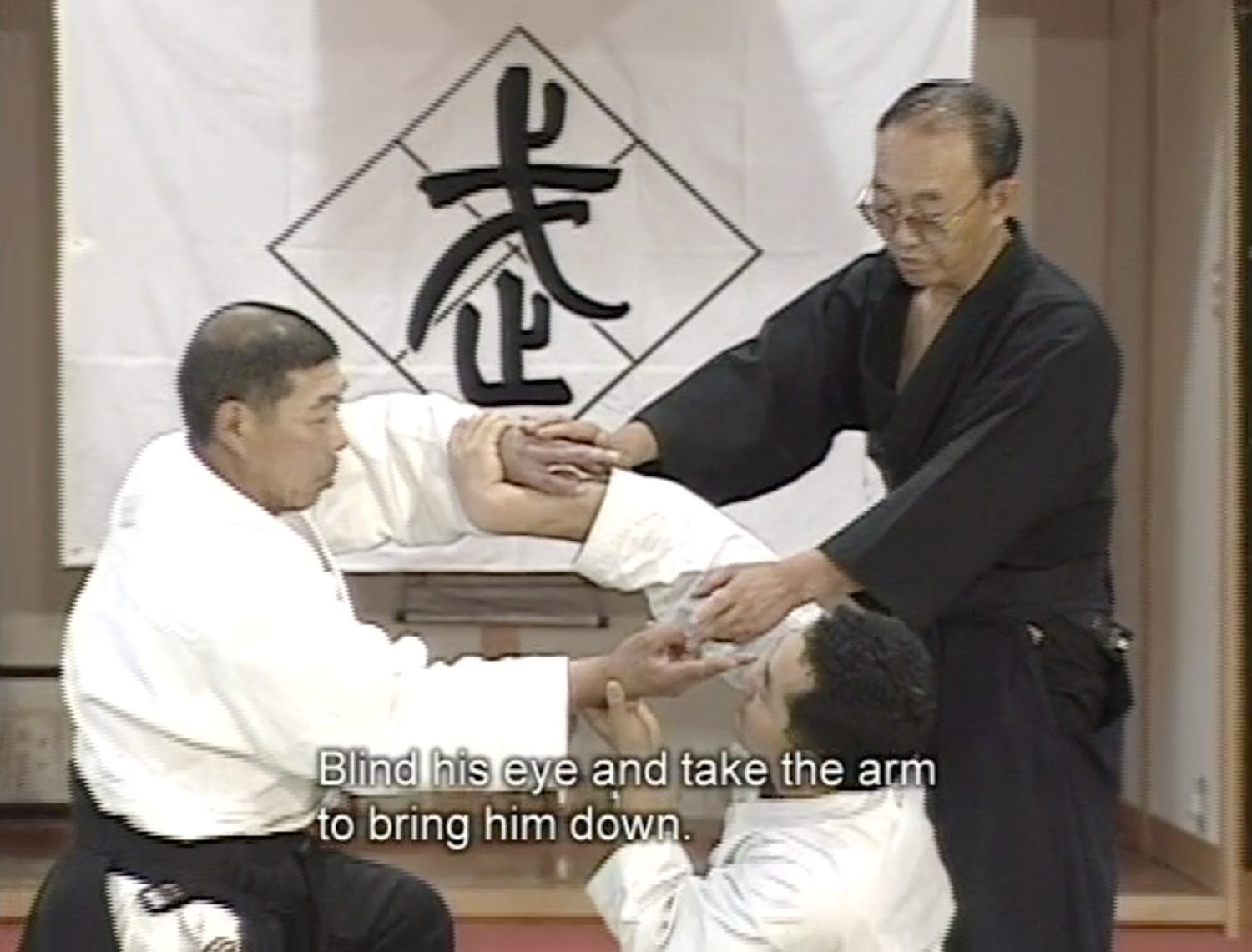 Daito Ryu Aikijujutsu: Ikkajo Ura Techniques DVD 1