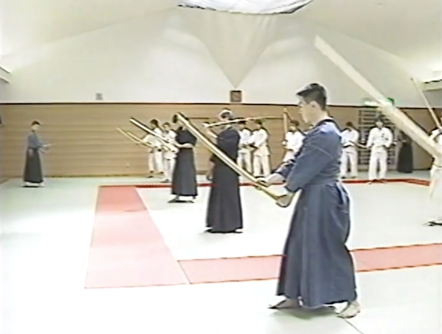 1st Shinbukan Martial Arts Seminar Vol 1 DVD by Tetsuzan Kuroda