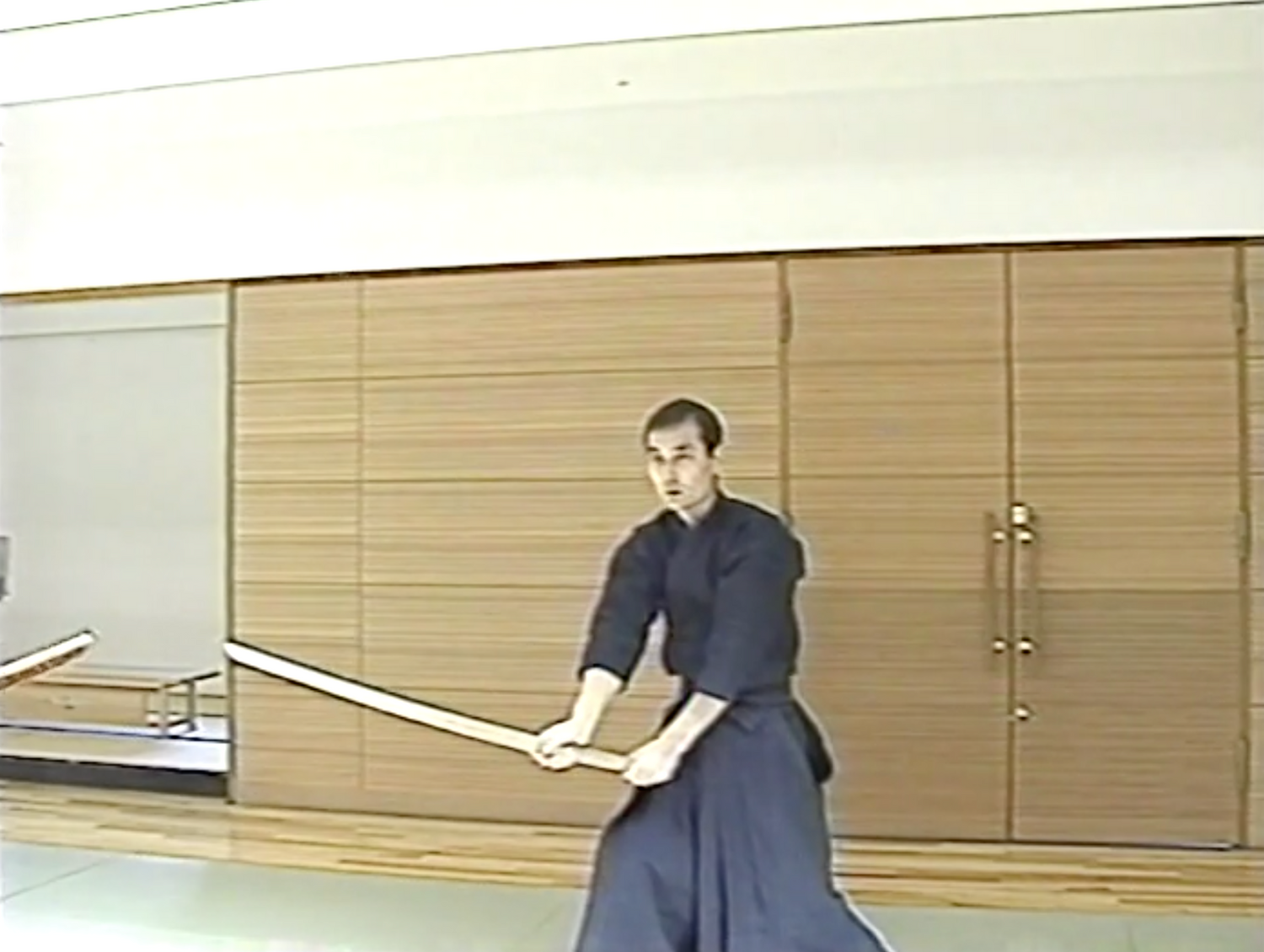 1st Shinbukan Martial Arts Seminar Vol 1 DVD by Tetsuzan Kuroda