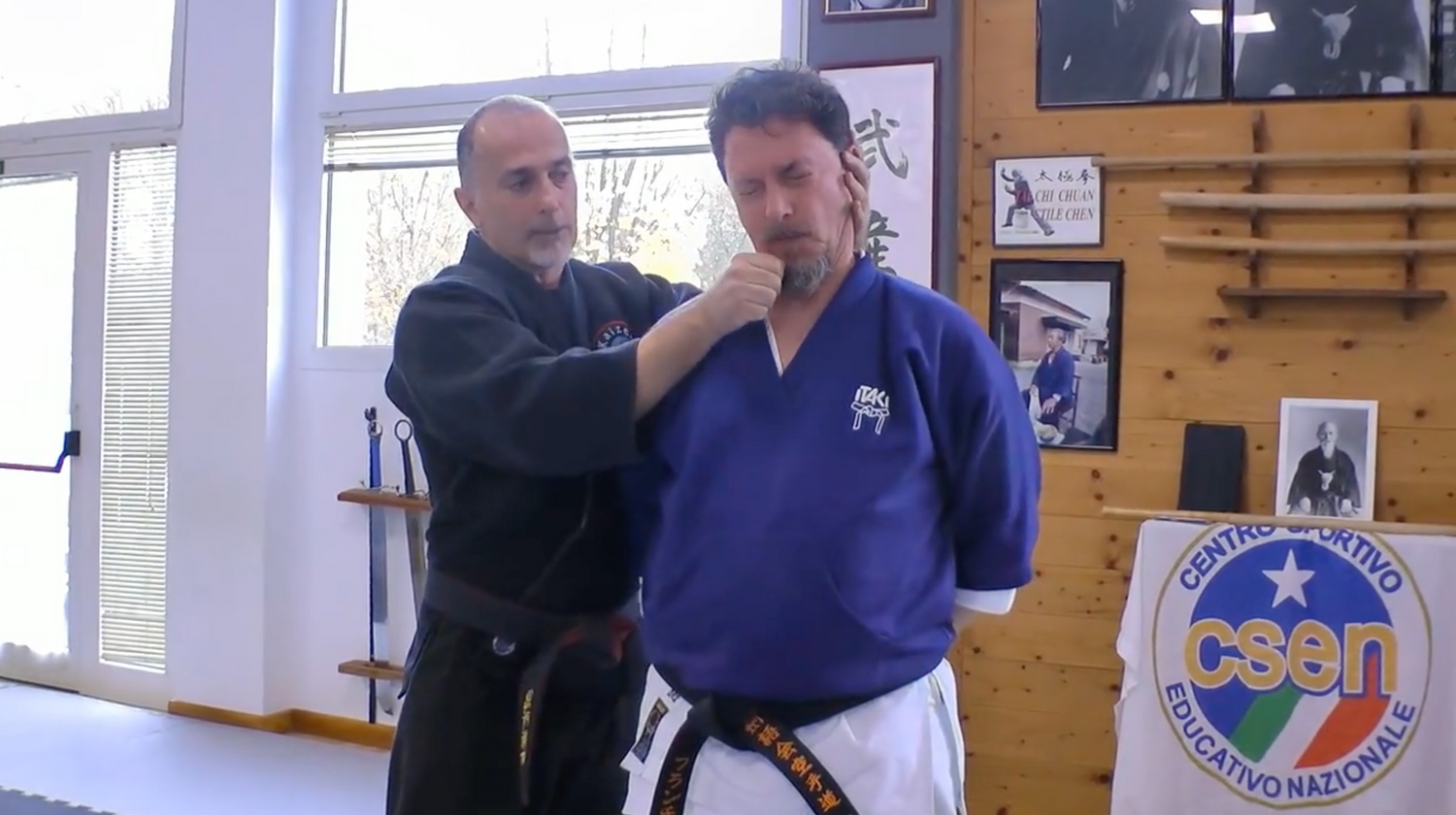 Become a Kyusho Instructor Vol 3 Gianluca Frisan (On Demand)