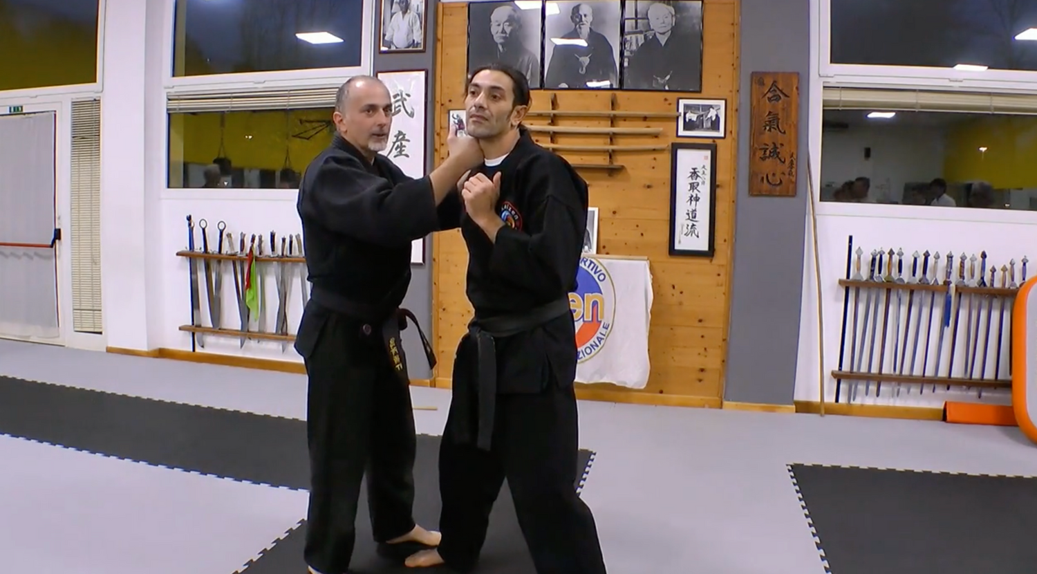 Become a Kyusho Instructor Vol 3 Gianluca Frisan (On Demand)