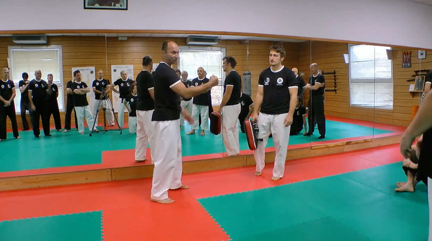 Become a Kyusho Instructor Vol 3 Gianluca Frisan (On Demand)