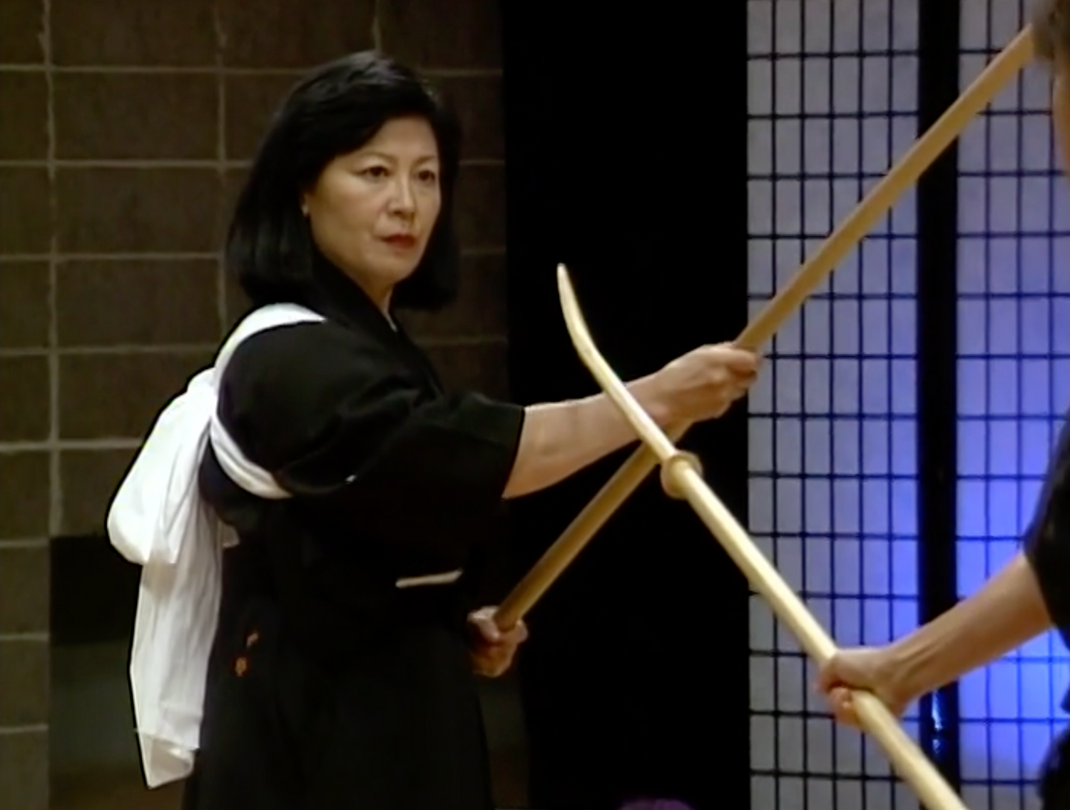 Naginata: A Link to the Past DVD by Helen Nakano