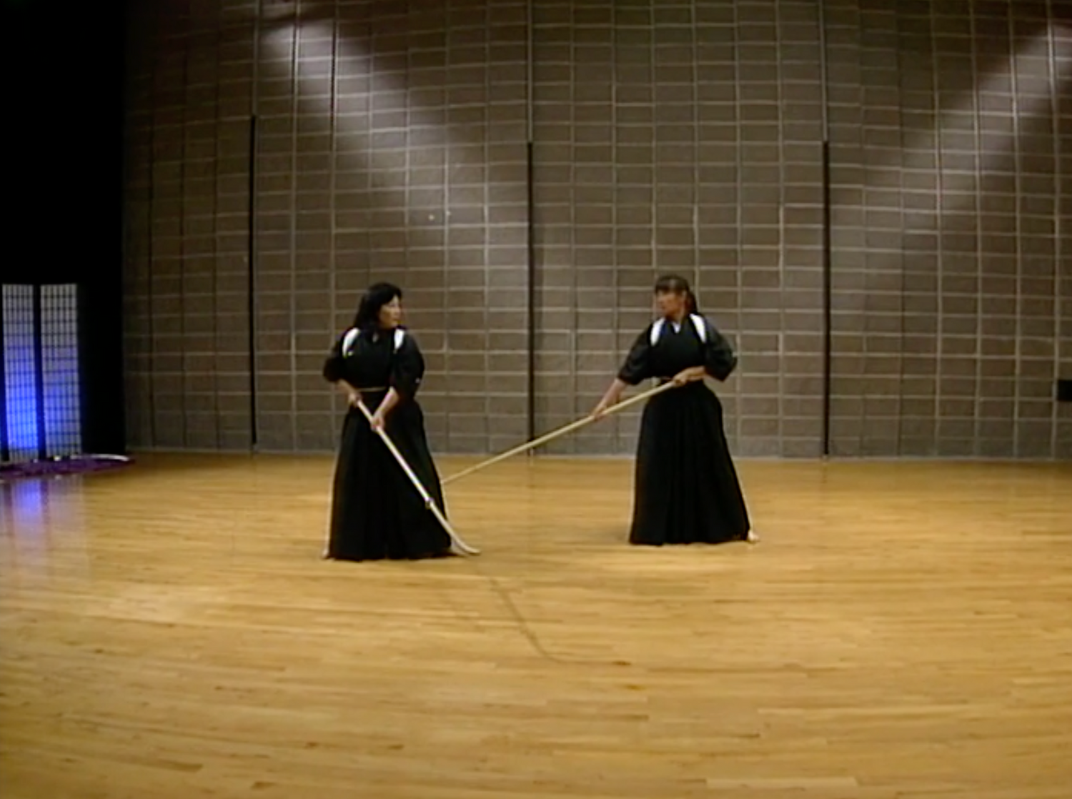 Naginata: A Link to the Past DVD by Helen Nakano